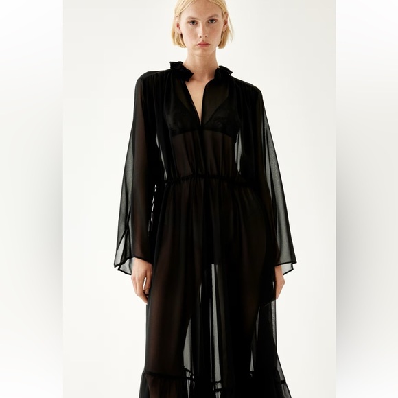 H&M Edition Sheer Maxi Dress - Picture 4 of 8